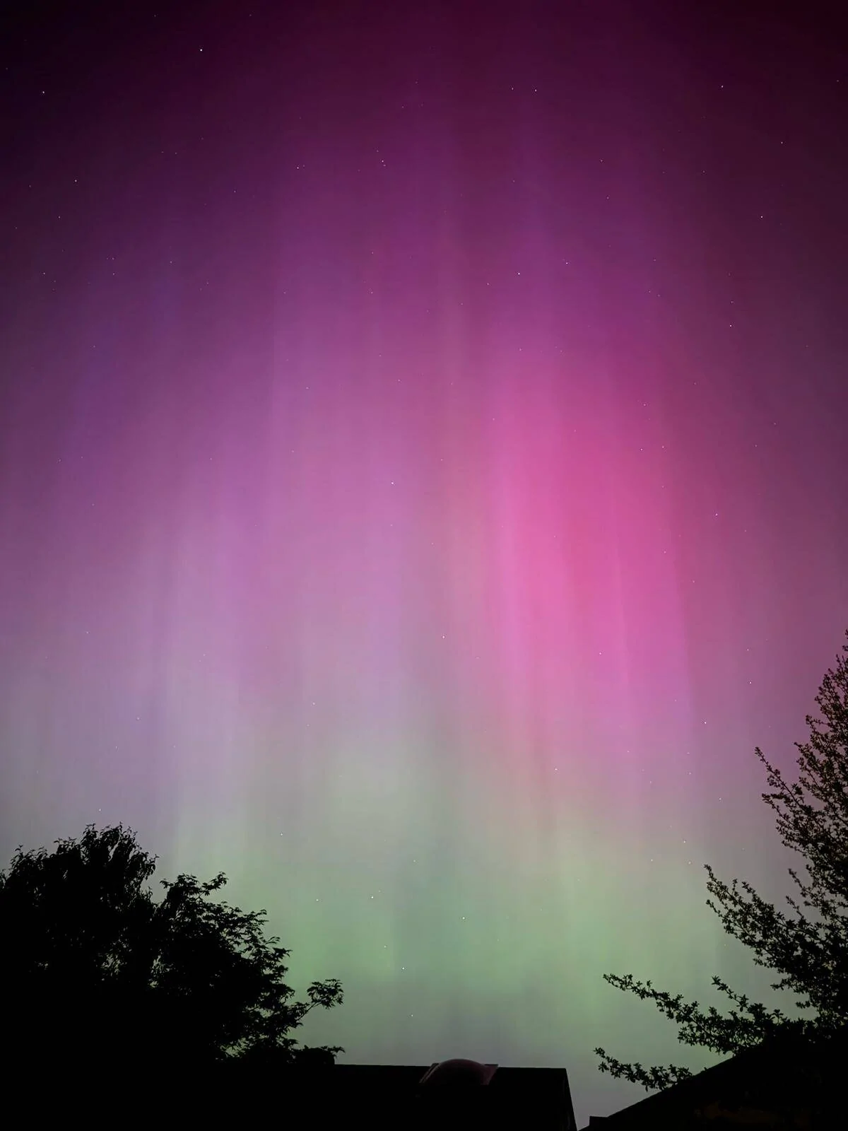 Ford Mustang Mach-E Out at the Aurora Borealis w/ Mach-E! Post Yours tempImagechgZeK