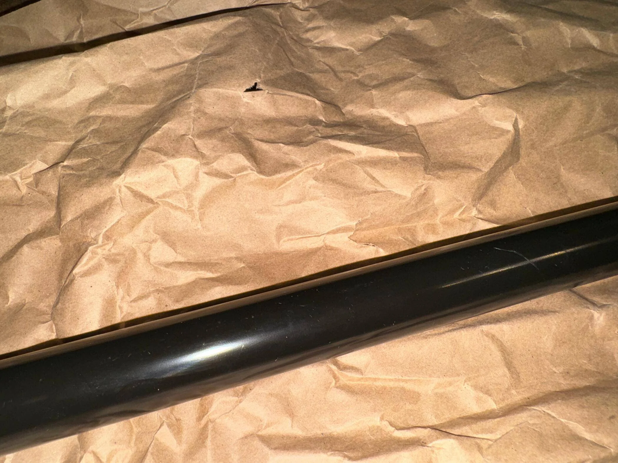 Ford Mustang Mach-E OEM Strut Tower Brace - $50 + Shipping IMG_0071