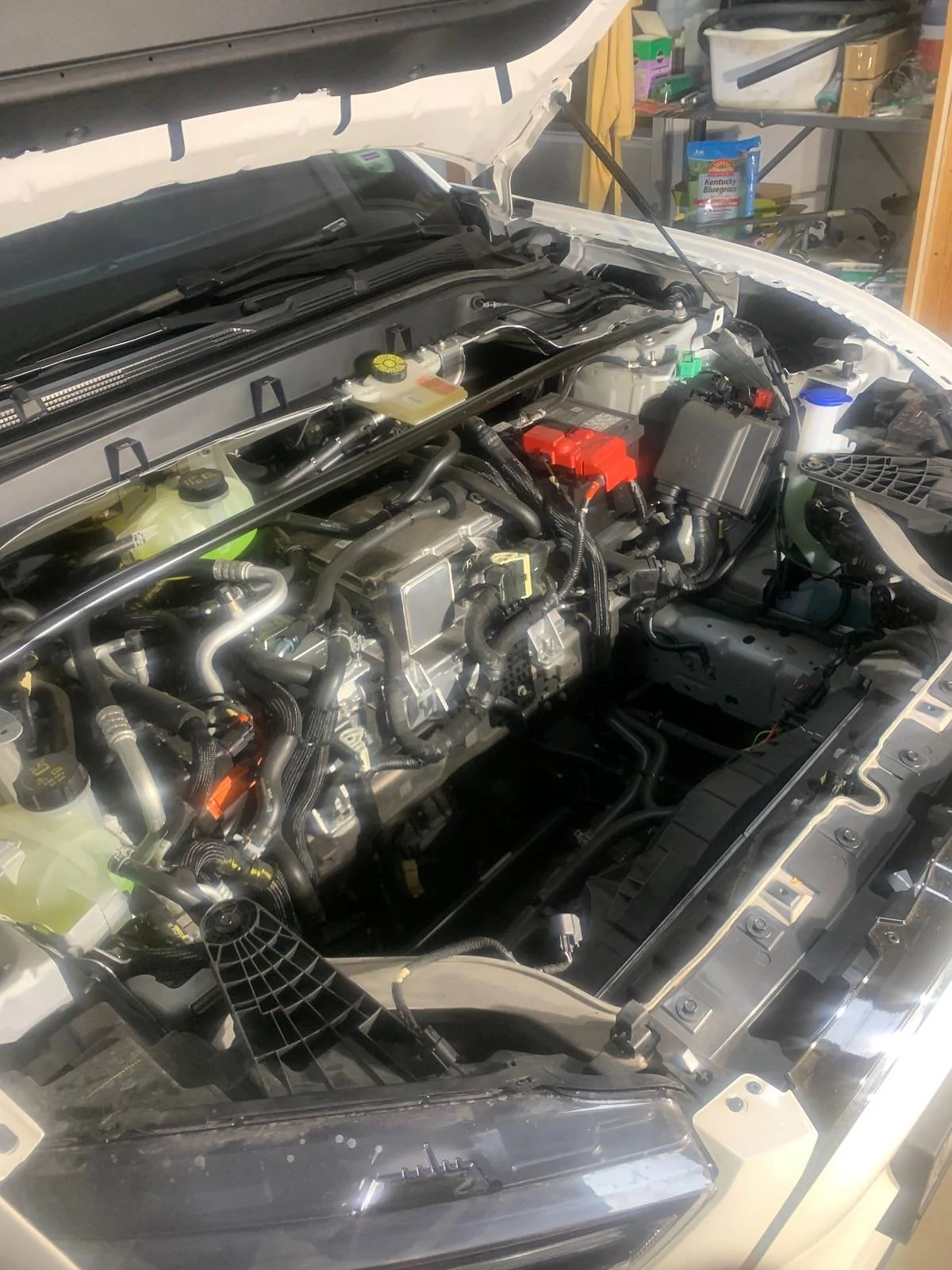 Ford Mustang Mach-E 12v battery fault IMG_1520