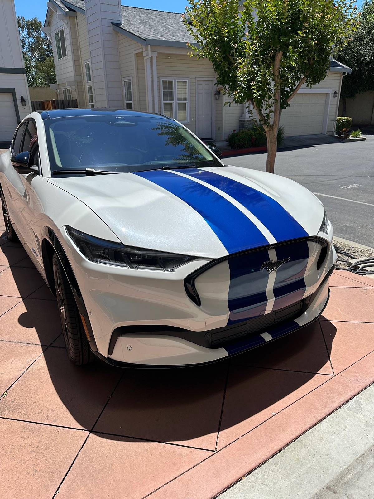 Ford Mustang Mach-E Ducted Hood Possible? tempImageJ84qar