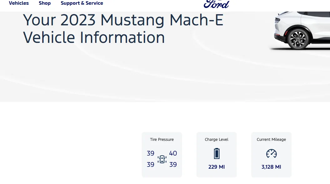 Ford Mustang Mach-E 12V Battery Status Indicator forddotcom