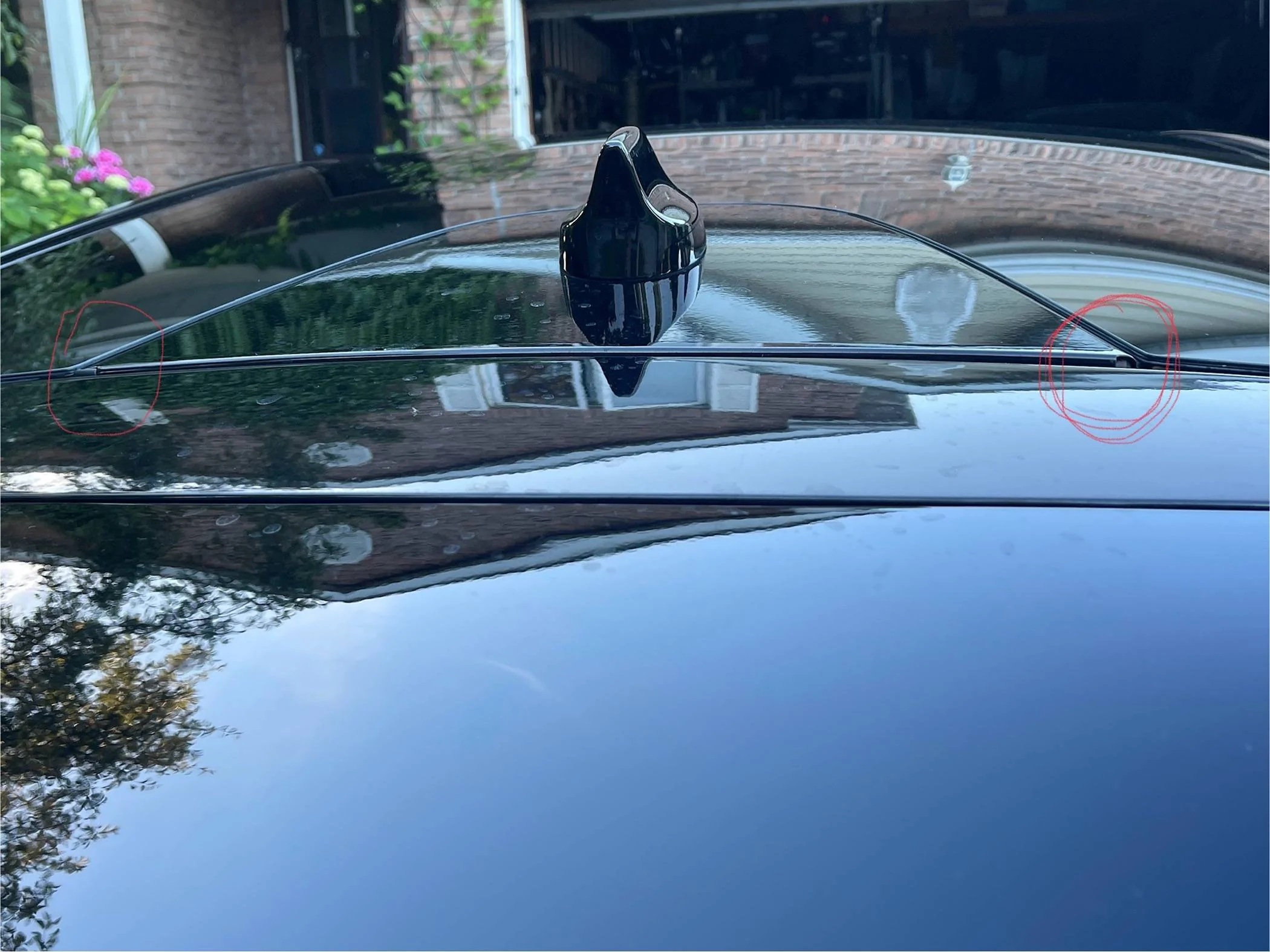 Ford Mustang Mach-E Antenna Fin Trim IMG_2537