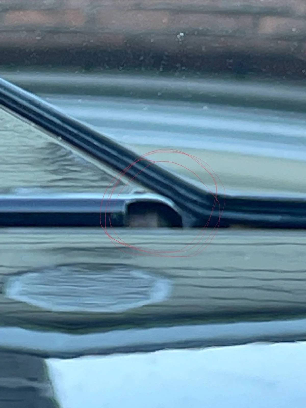 Ford Mustang Mach-E Antenna Fin Trim IMG_2538