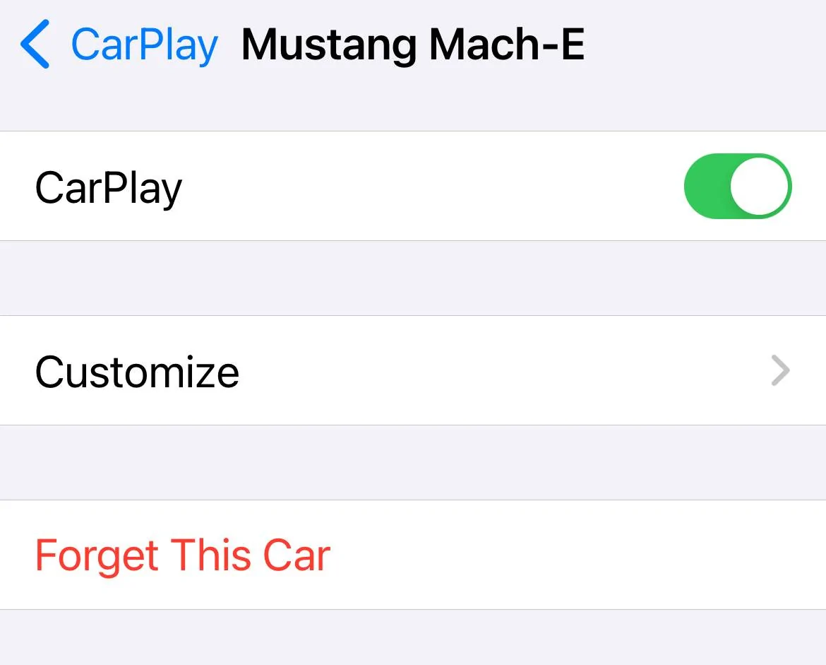 Ford Mustang Mach-E Sync Audio Works 50% of the Time IMG_4715