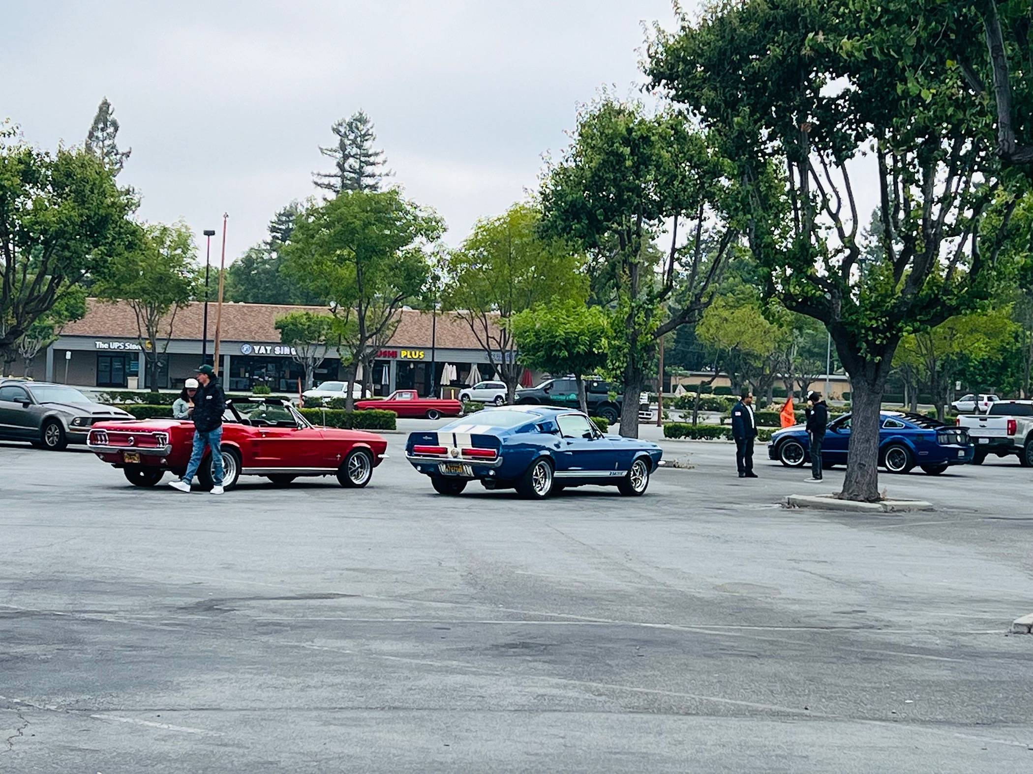 Ford Mustang Mach-E Bay Area Summer Get Together IMG_4720