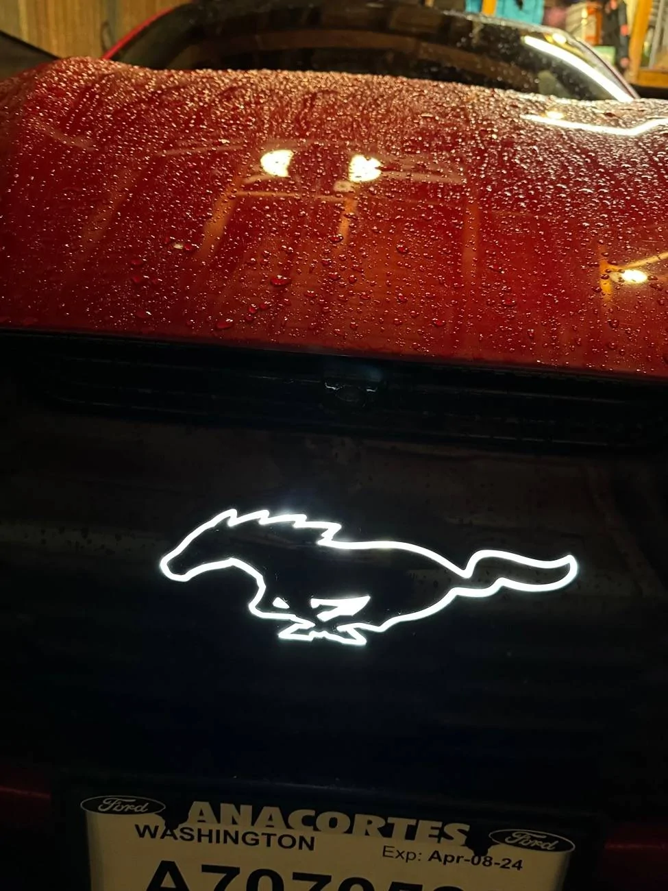 Ford Mustang Mach-E Illuminated Pony’s? (Not the failed ones previously) IMG_0263