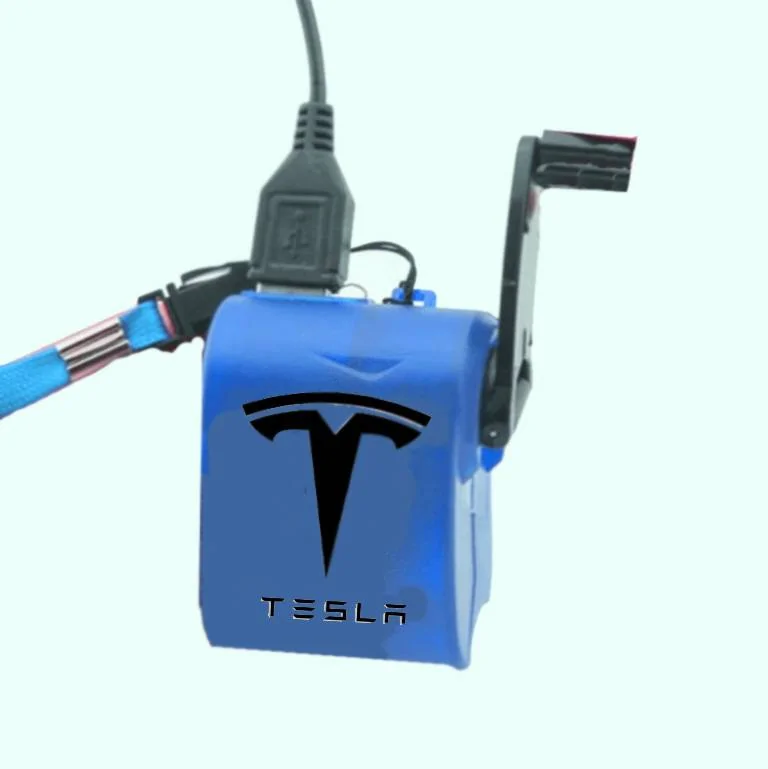 Ford Mustang Mach-E Go Sun solar panels -  charging while parked & covers the car. Would you get one ? Tesal charger