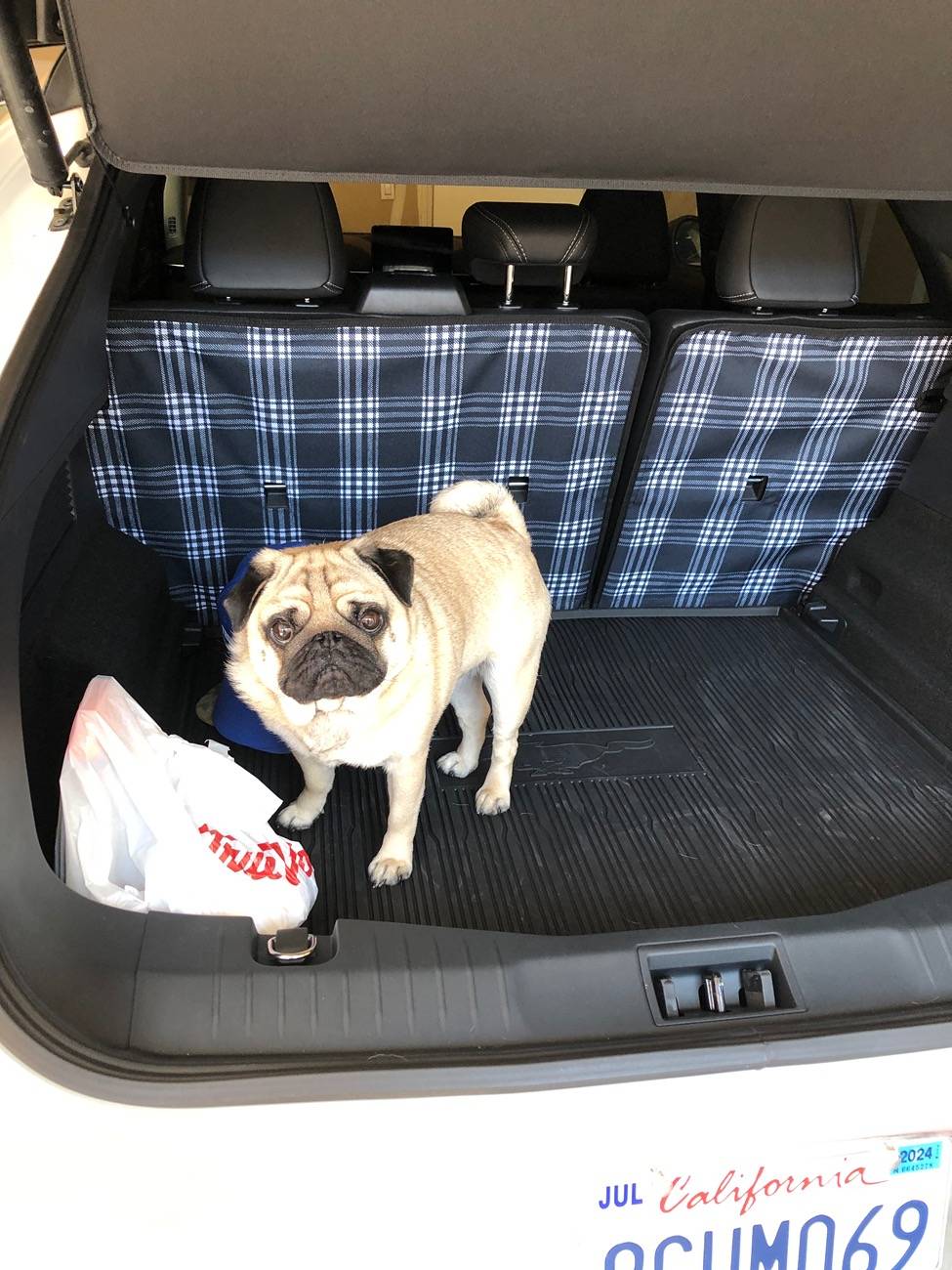 Ford Mustang Mach-E What does this pictogram on my liftgate actually mean? IMG_2868