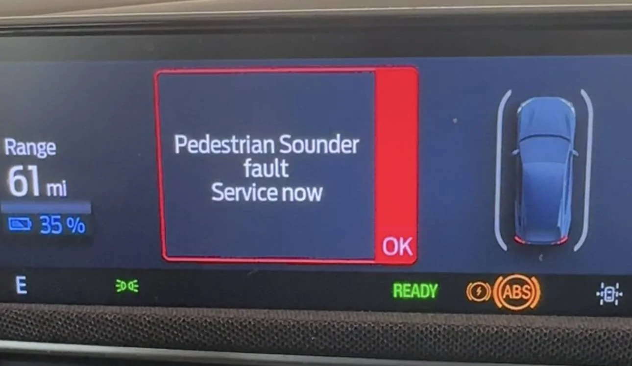 Ford Mustang Mach-E Multiple Alerts / Issues Display IMG_5740