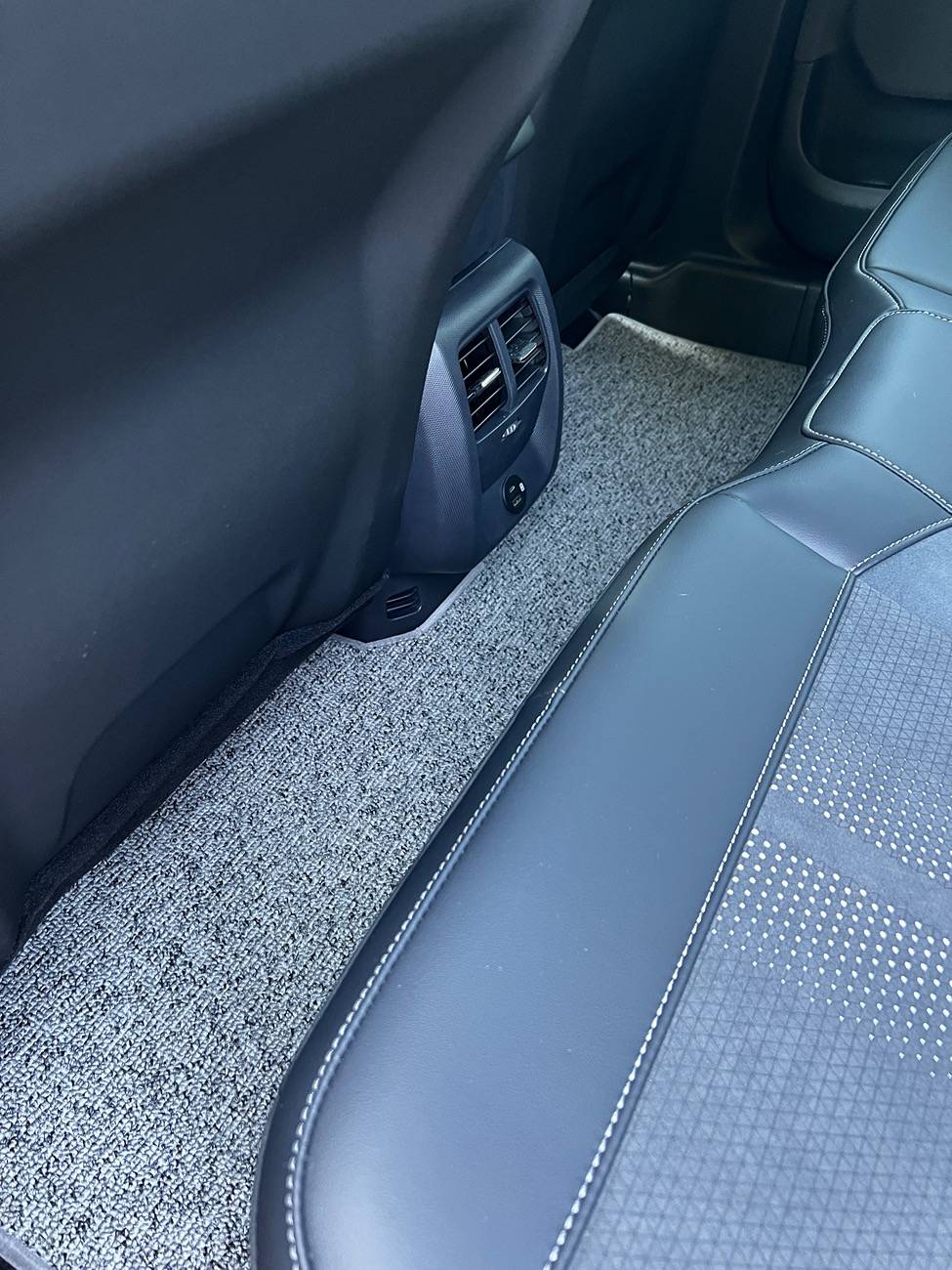 Ford Mustang Mach-E New floor mats! IMG_5042