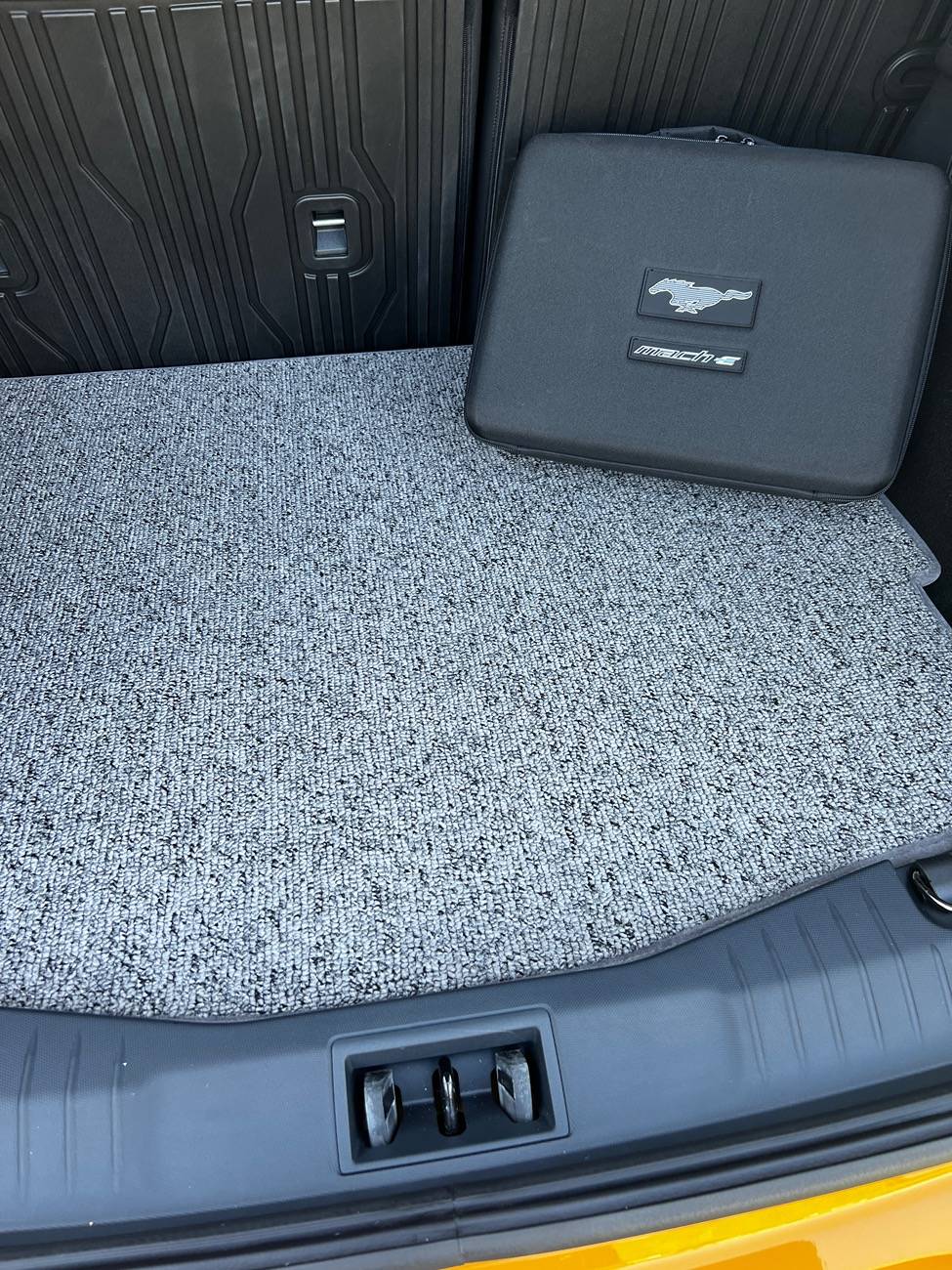 Ford Mustang Mach-E New floor mats! IMG_5041