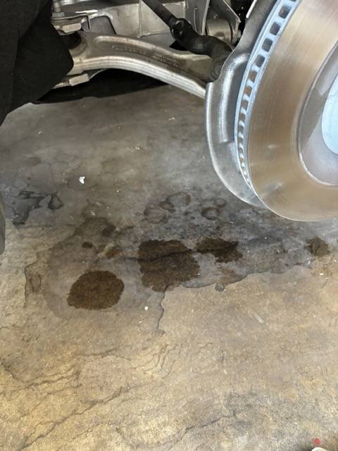 Ford Mustang Mach-E Leaking front shock? IMG_0876 Medium