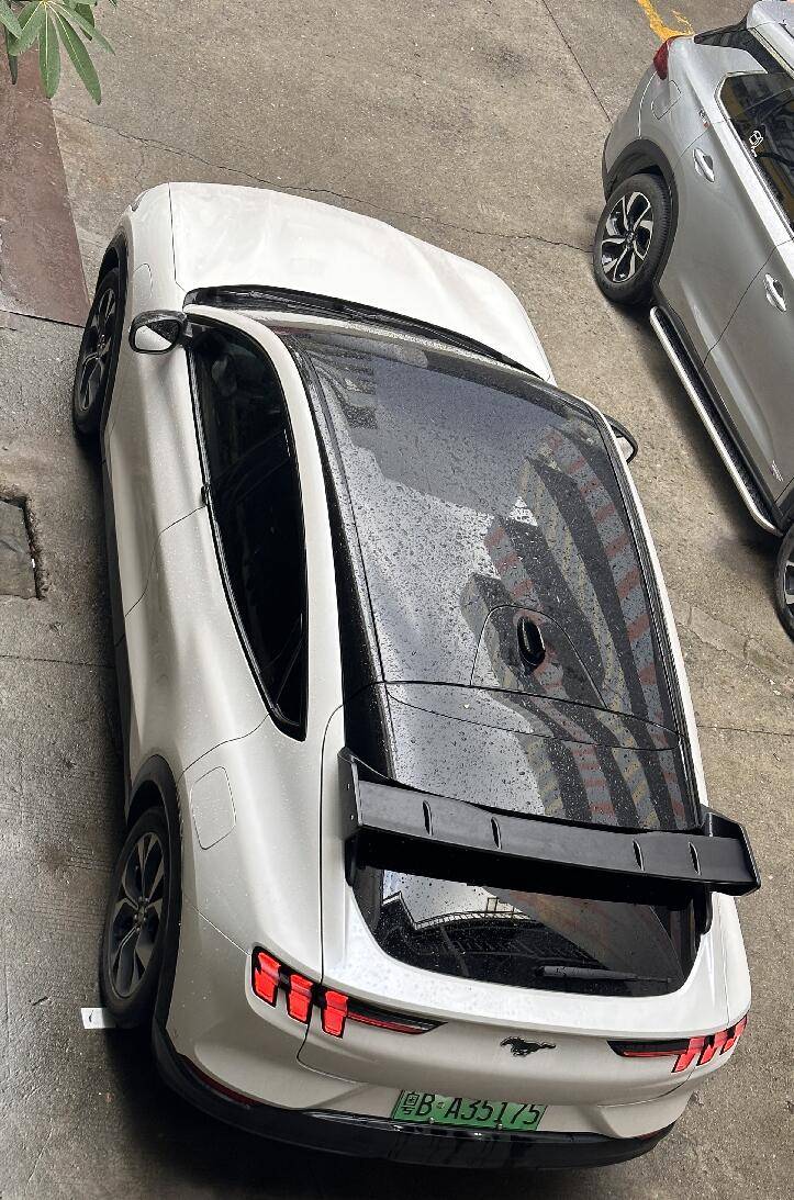 Ford Mustang Mach-E NOW with VIDEO - NEW WING, proudly handcrafted by BSKT Design 1