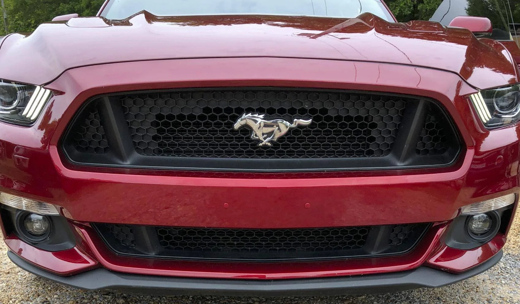 Ford Mustang Mach-E Dealer Pre-Delivery Checklist for the Mach-E 1611340445364