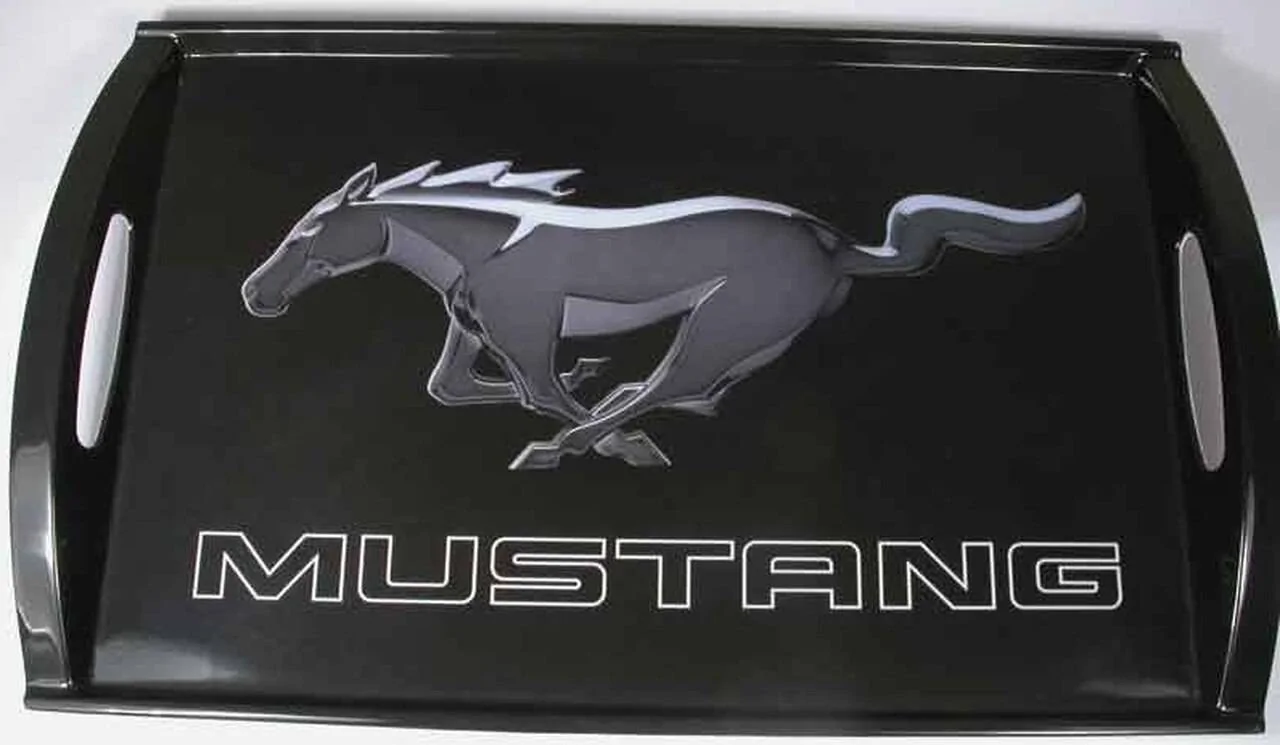 Ford Mustang Mach-E Ahhhh, What Serving Tray for the Frunk??? 1612042140362