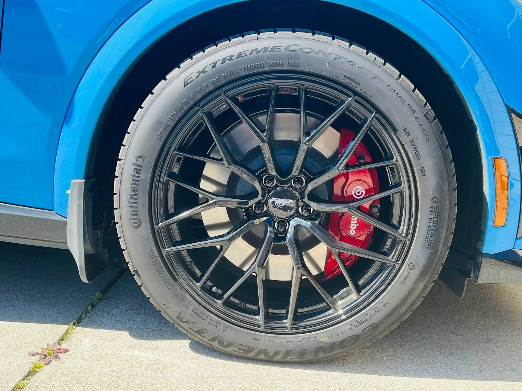 Ford Mustang Mach-E Black Lug nuts for Nite Pony Wheels - recommendations? IMG_4414