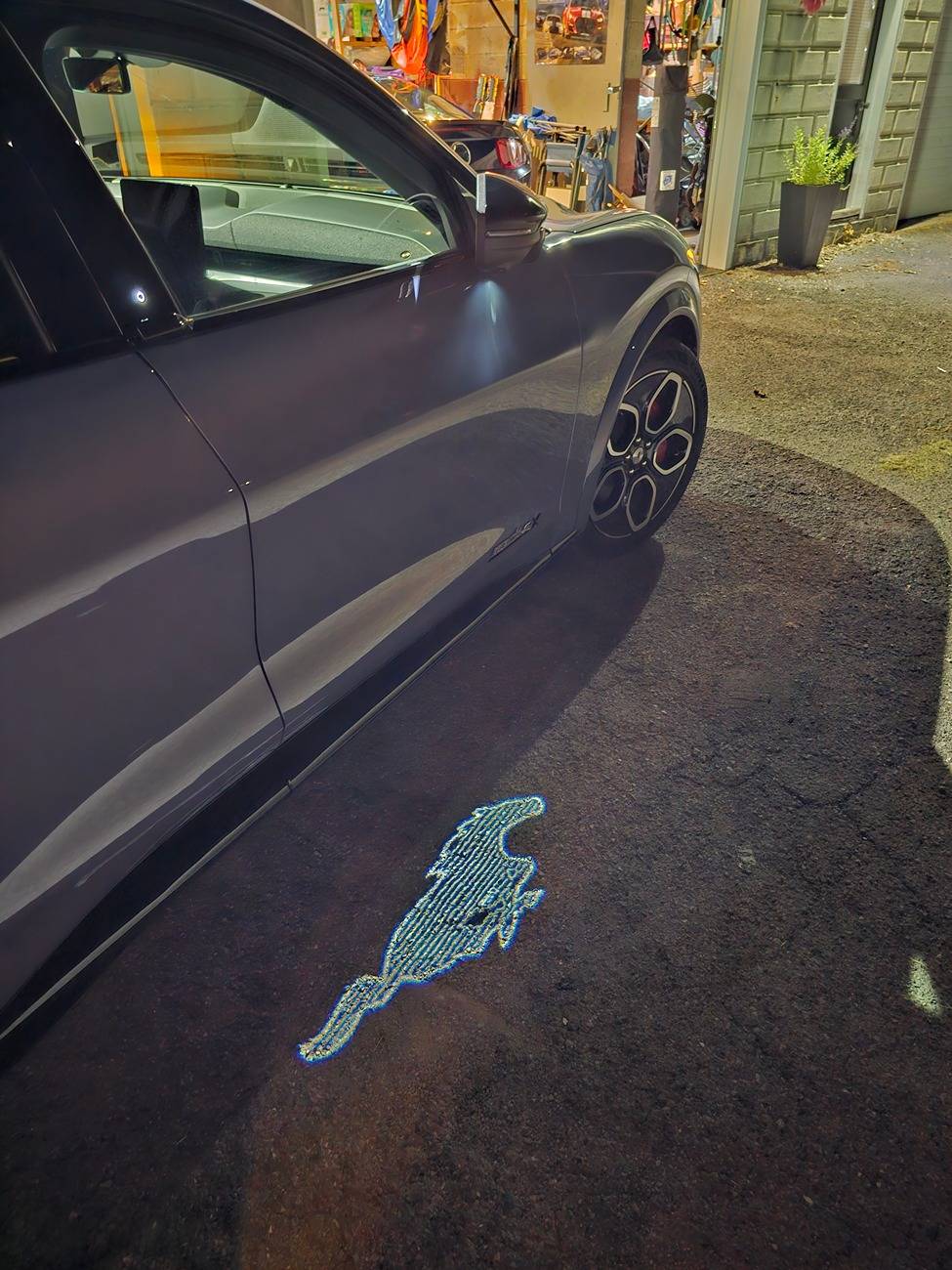 Ford Mustang Mach-E Introduction and then this happened... 1000028681