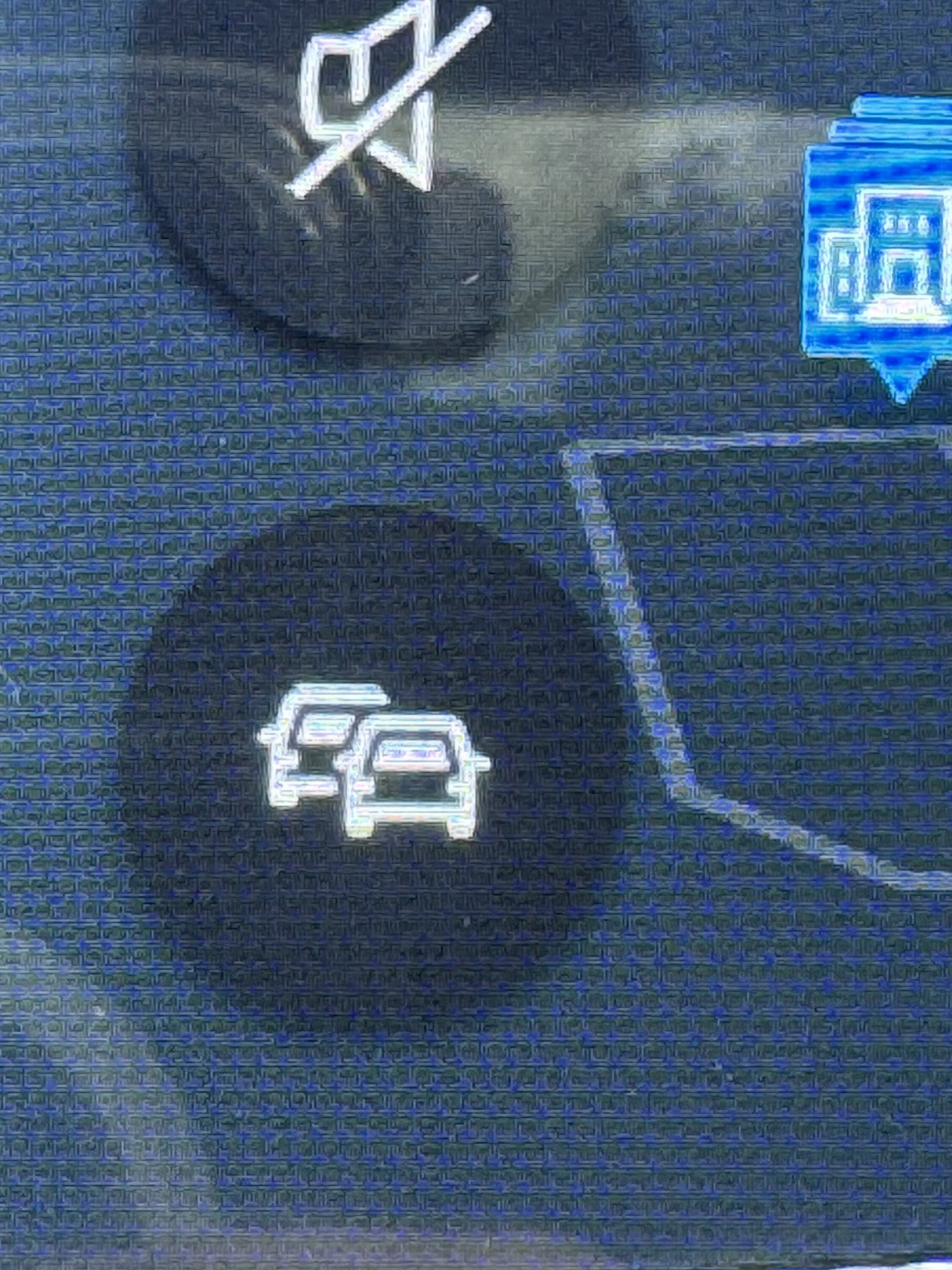Ford Mustang Mach-E I was dropped out of a shopping cart as a child. What is this icon?  Never seen it before IMG_0764