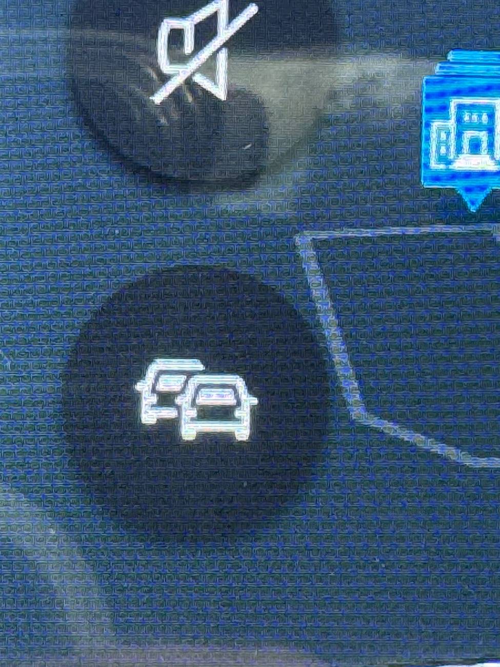 Ford Mustang Mach-E I was dropped out of a shopping cart as a child. What is this icon?  Never seen it before IMG_0764