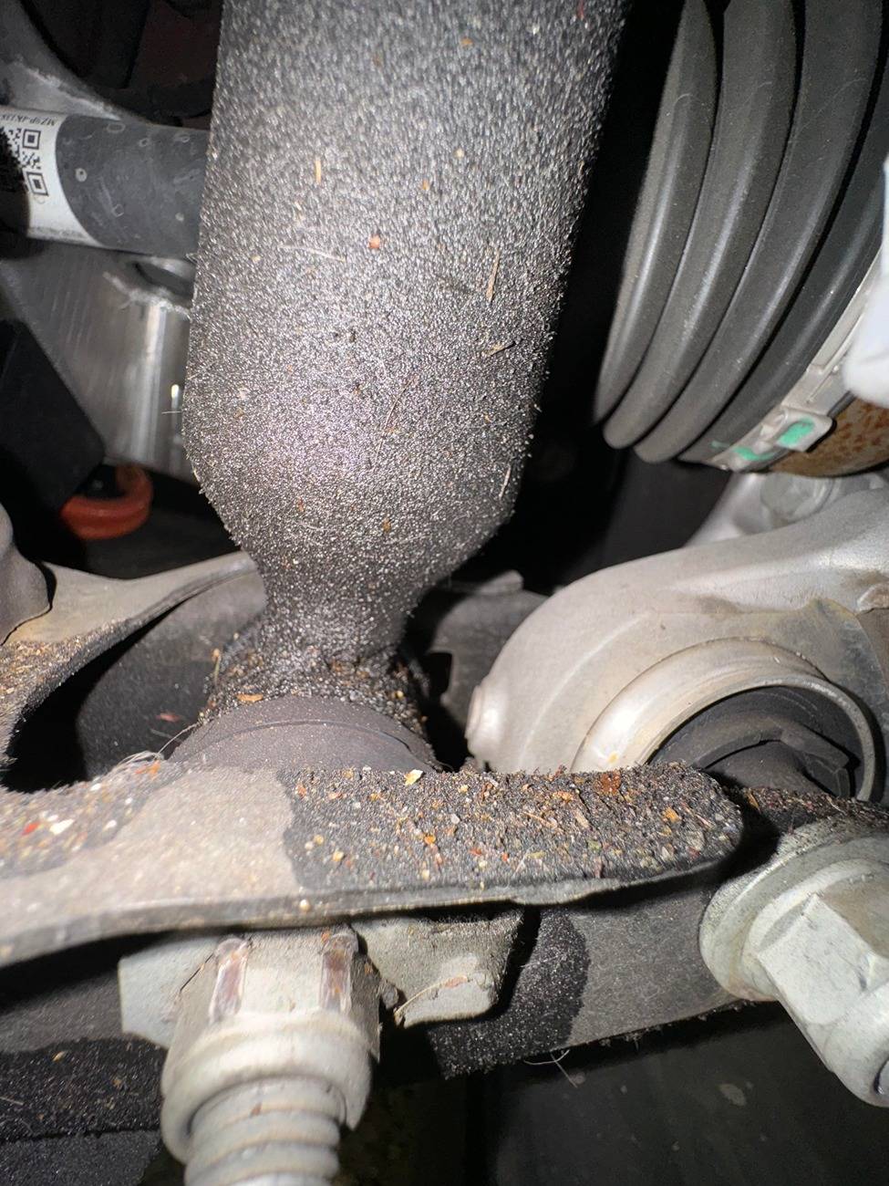 Ford Mustang Mach-E Has my shock busted? unnamed