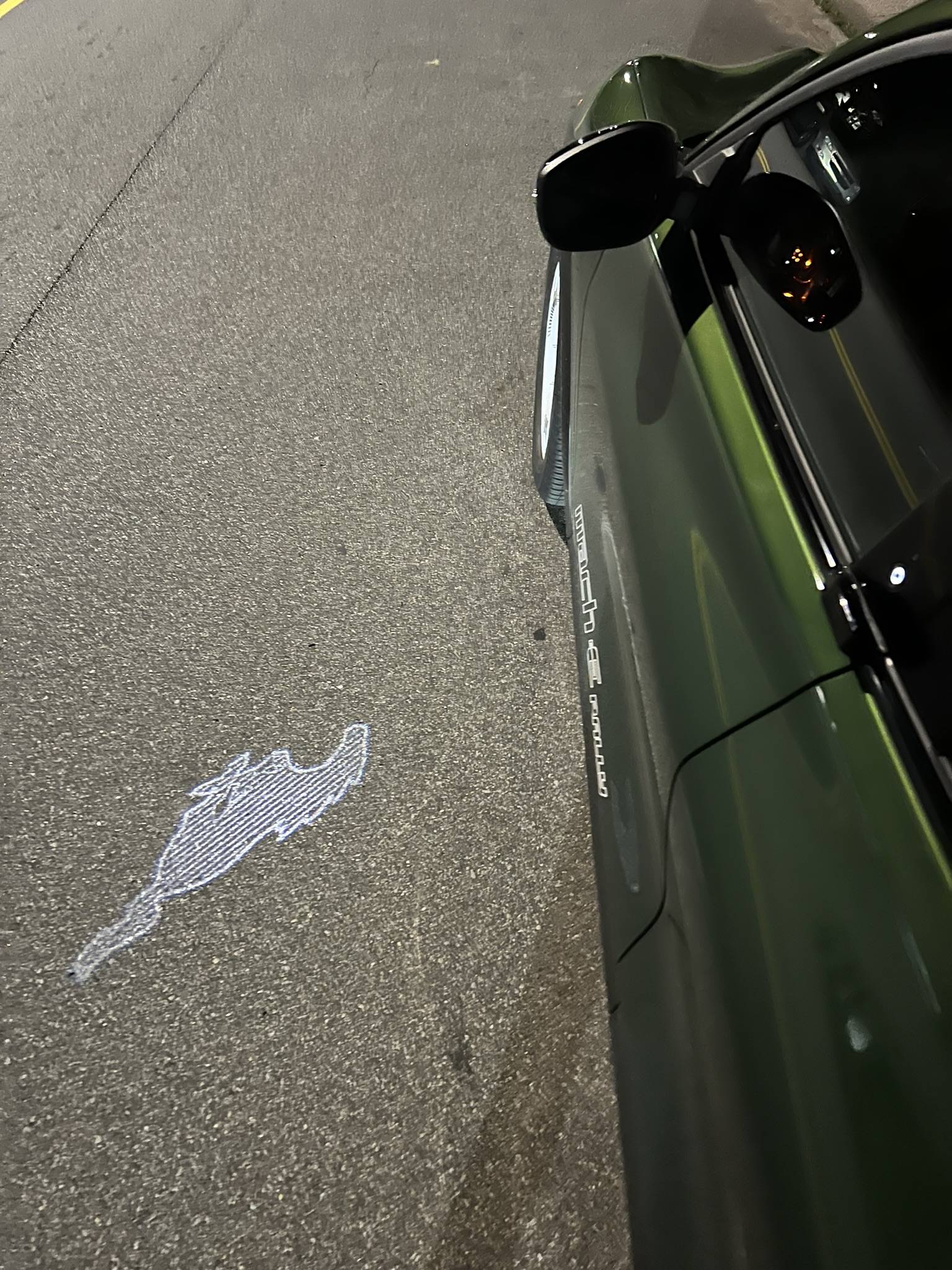 Ford Mustang Mach-E Side mirror illuminated pony is crooked on 2024 Rally? IMG_4026.JPEG