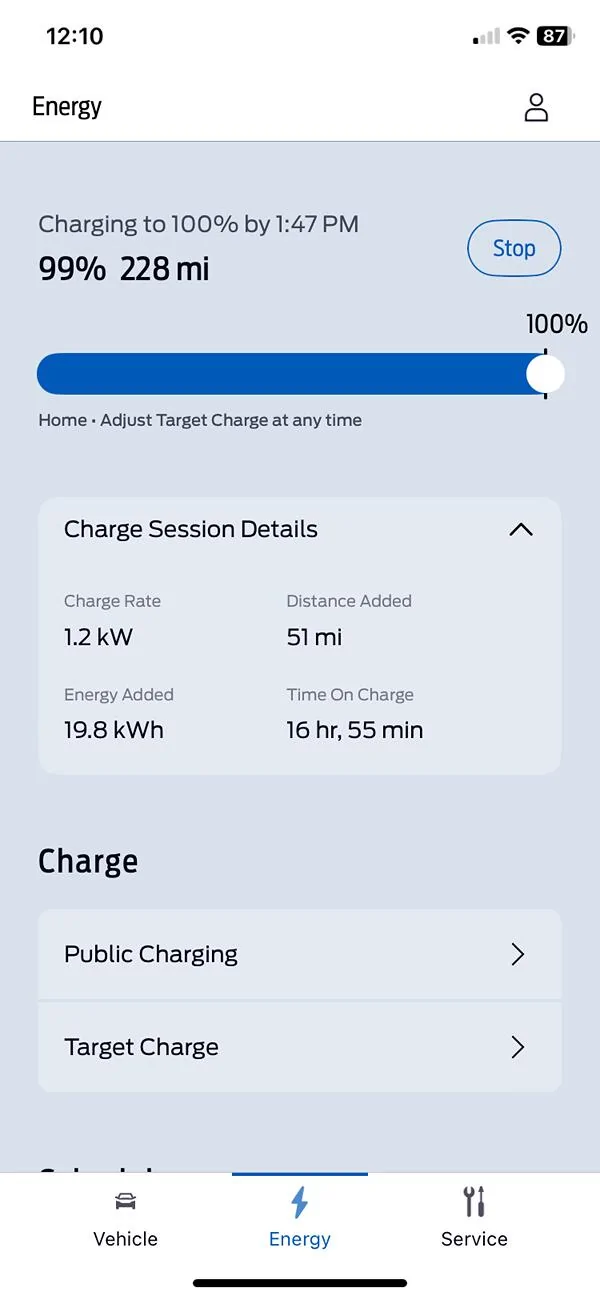 Ford Mustang Mach-E Charging to "100%" for a minute Mach-E at 99% 228mi