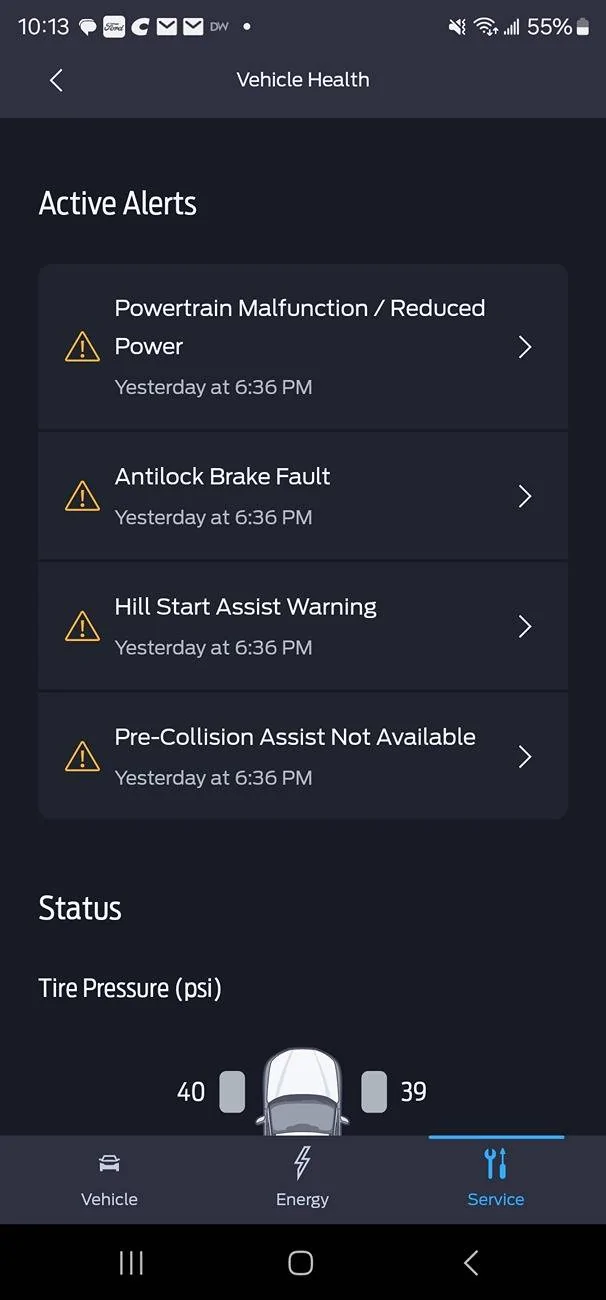 Ford Mustang Mach-E Four active alerts and drive problems 1000010249