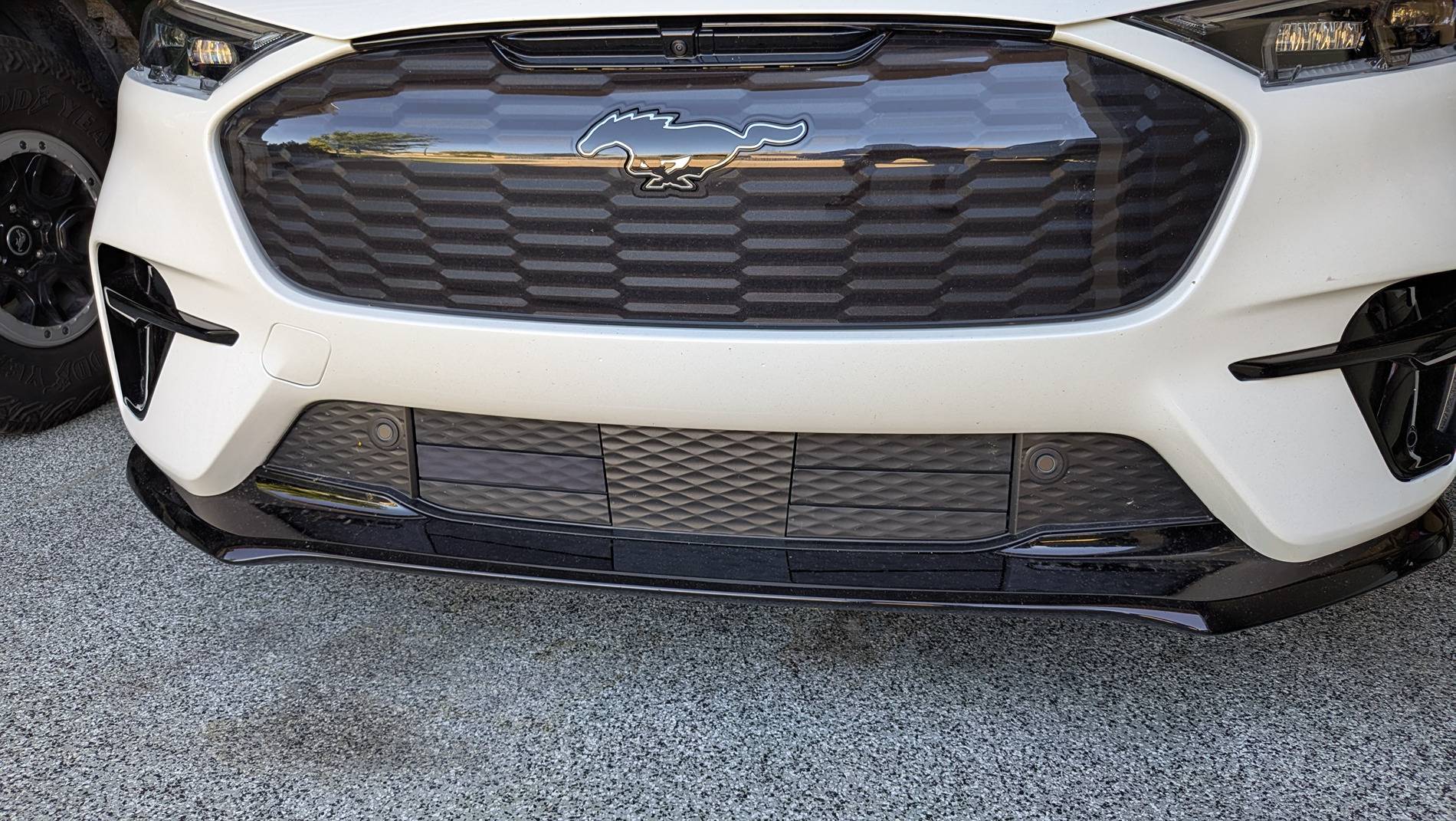 Ford Mustang Mach-E Suggestion for New Product - active grill shutter protector PXL_20241109_174517944.MP