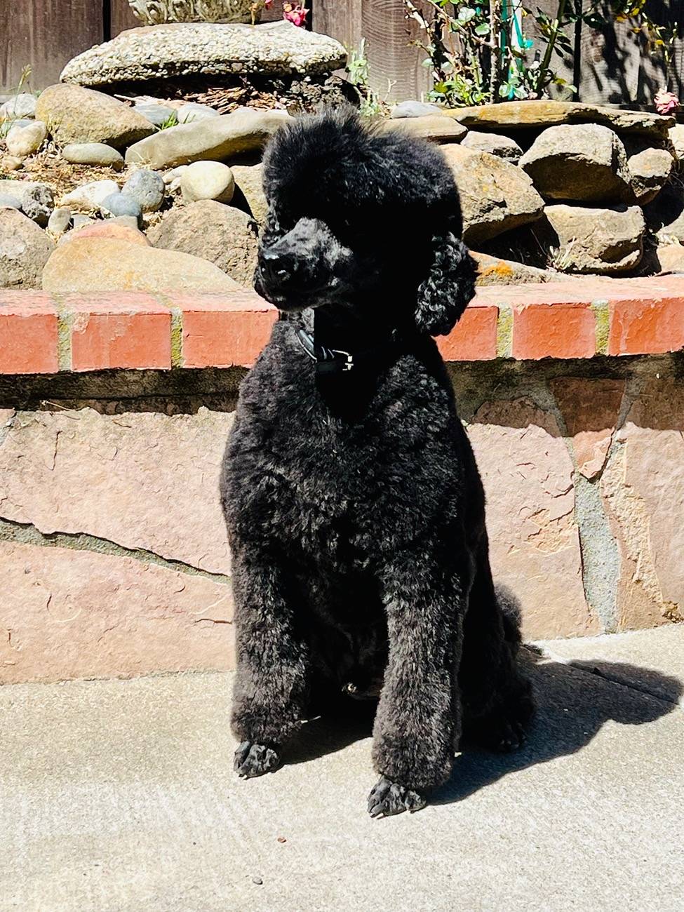 Ford Mustang Mach-E No Ventilated Seats on MY25 GT? WTF (What The Ford) 😡 IMG_4693