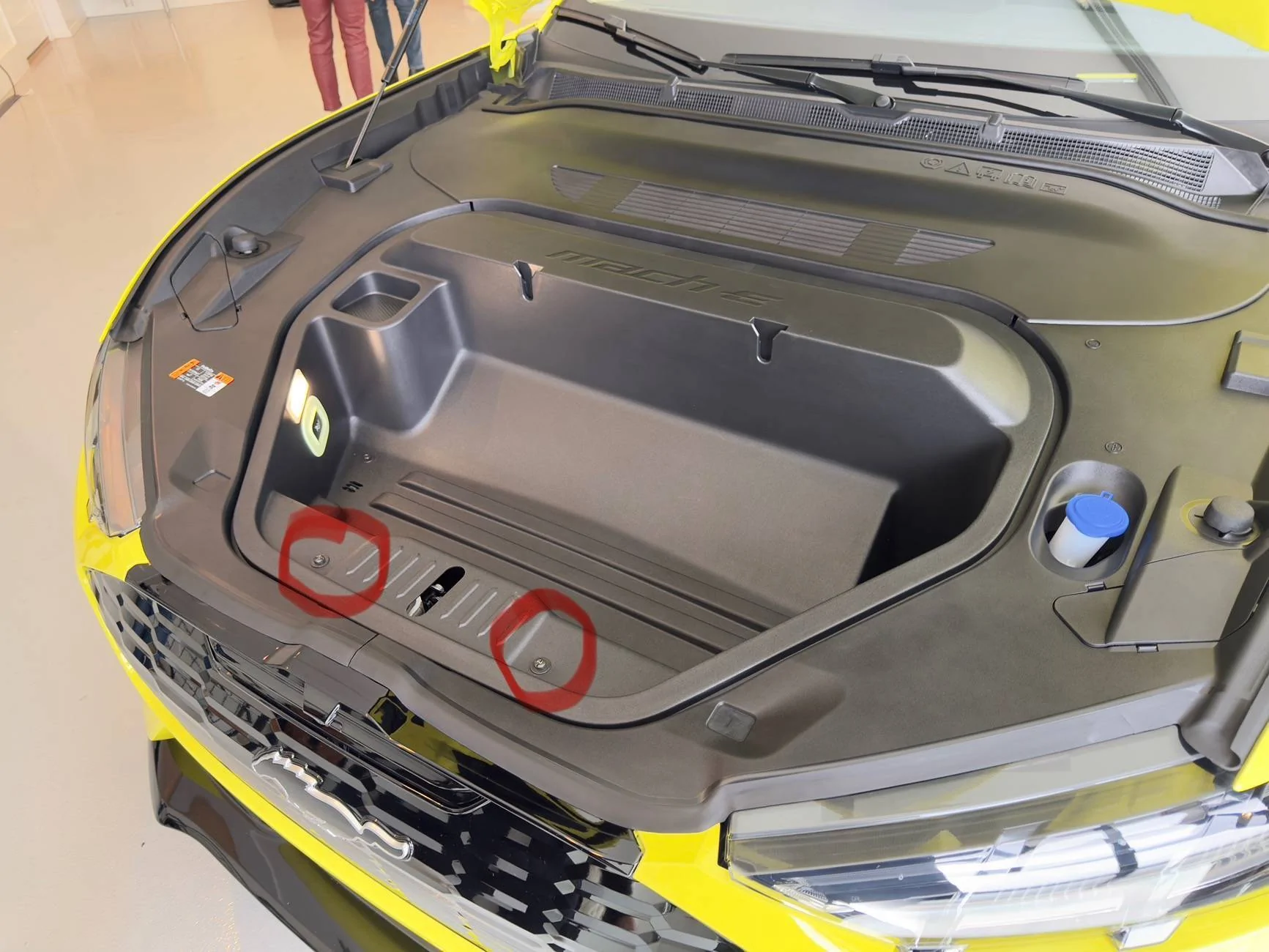 Ford Mustang Mach-E No Ventilated Seats on MY25 GT? WTF (What The Ford) 😡 IMG_4985