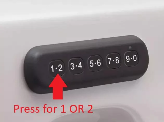 Ford Mustang Mach-E Keypad second digit 1731600166047-9