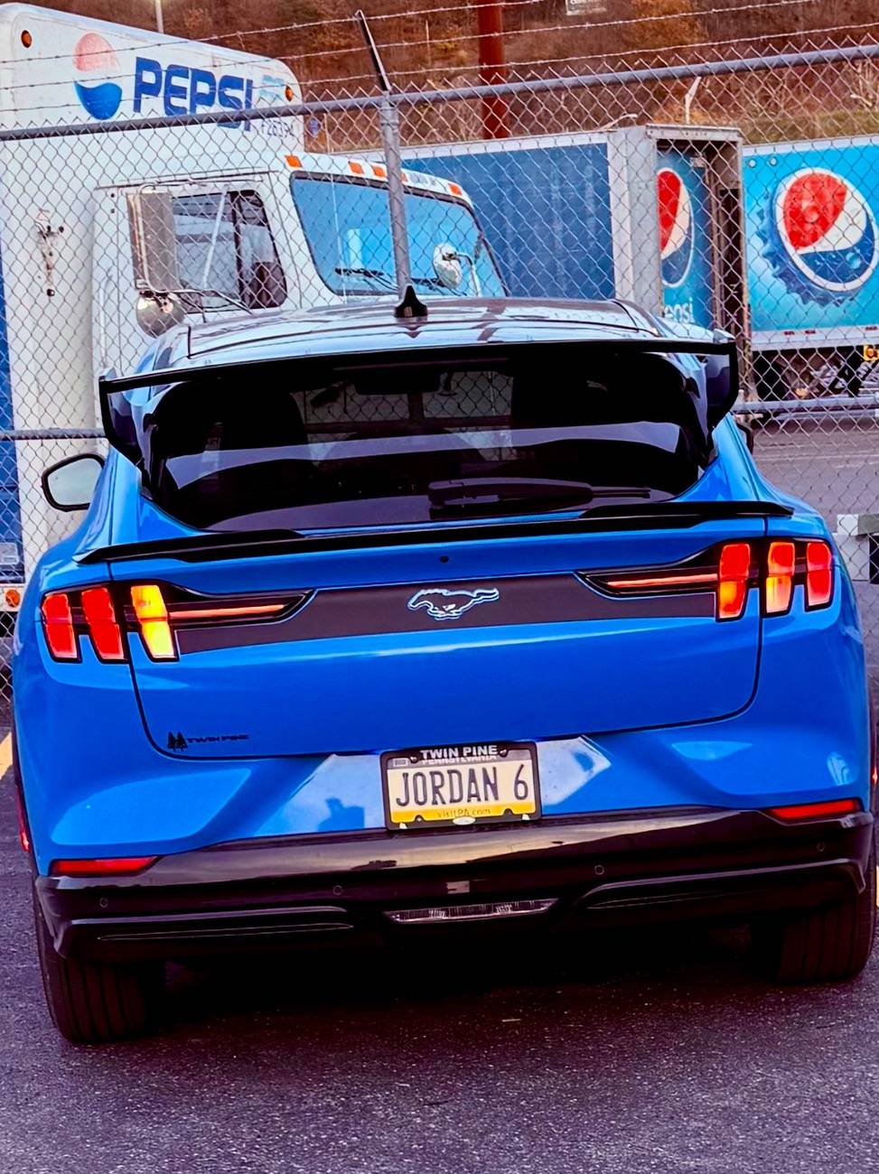 Ford Mustang Mach-E BSKT Design”Baby” wing IMG_0602