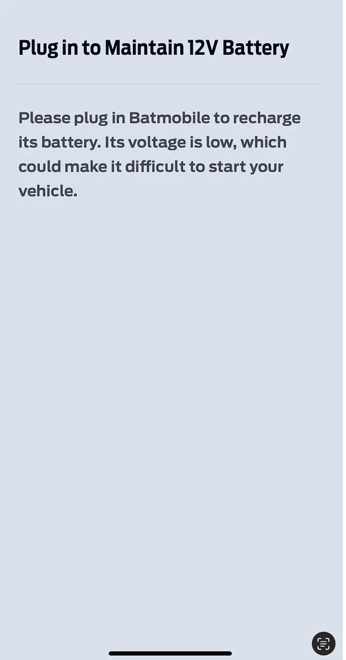 Ford Mustang Mach-E Plug in to Maintain 12V Battery?? Screenshot 2024-11-24 at 4.29.21 PM