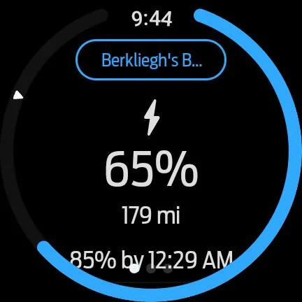 Ford Mustang Mach-E iOS Widget gone? 1000030878