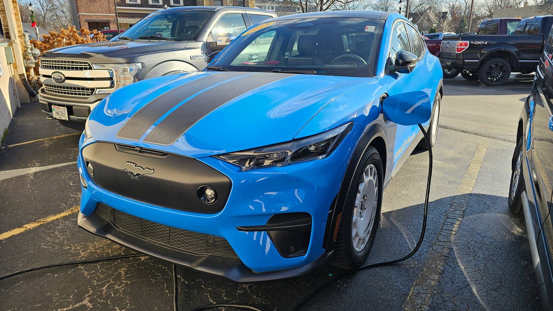 Ford Mustang Mach-E Not a troll: removing the mustang logos 1000035339