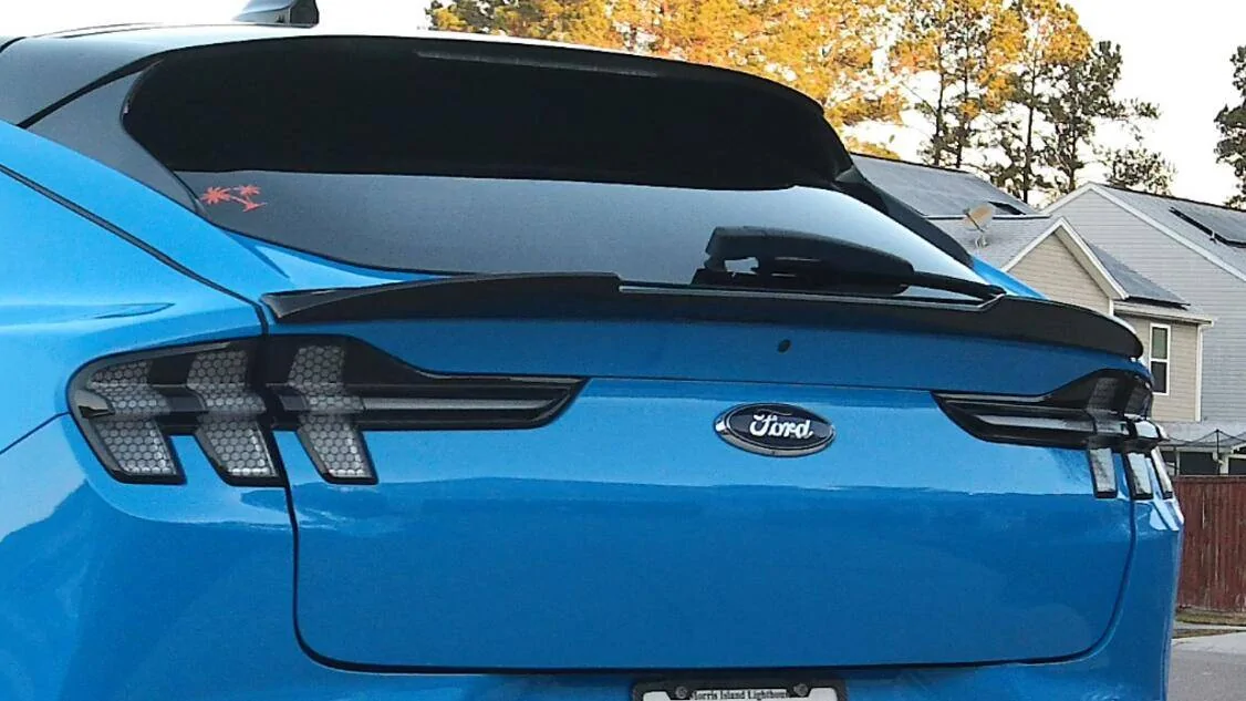Ford Mustang Mach-E Not a troll: removing the mustang logos 1733276498499-73