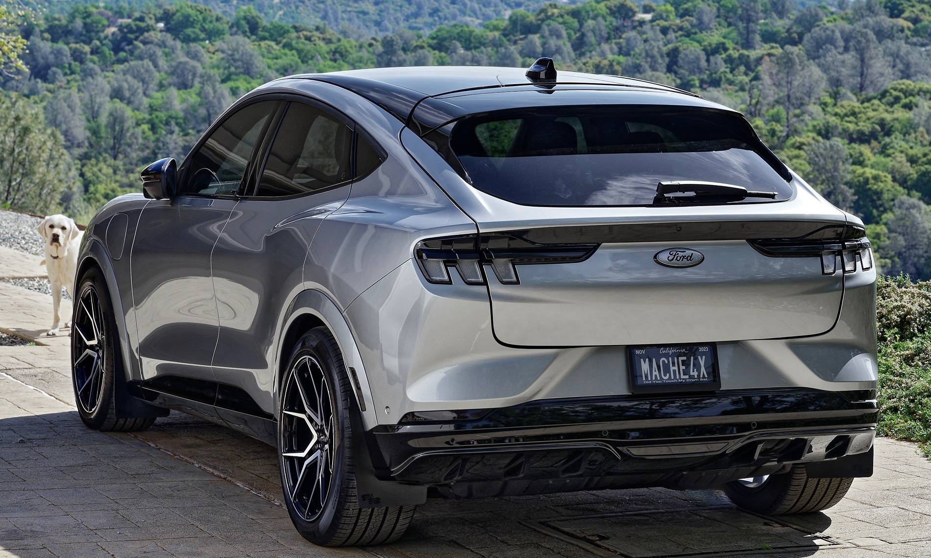 Ford Mustang Mach-E Not a troll: removing the mustang logos NZ7_739830