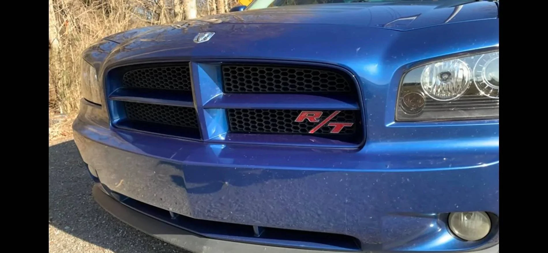 Ford Mustang Mach-E Not a troll: removing the mustang logos b4u0ubkxjgb91