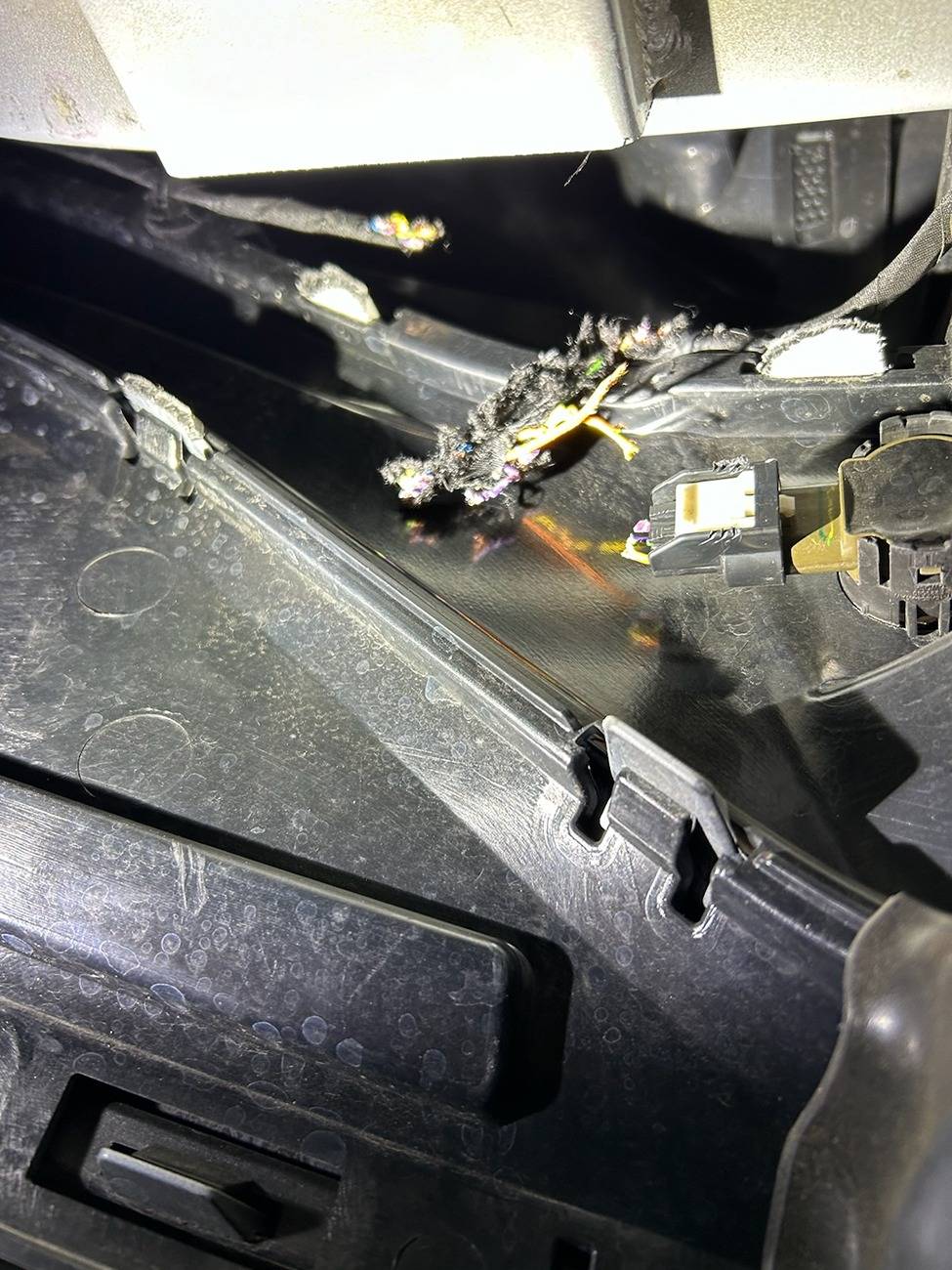 Ford Mustang Mach-E Rodent damage? IMG_20241203_152242