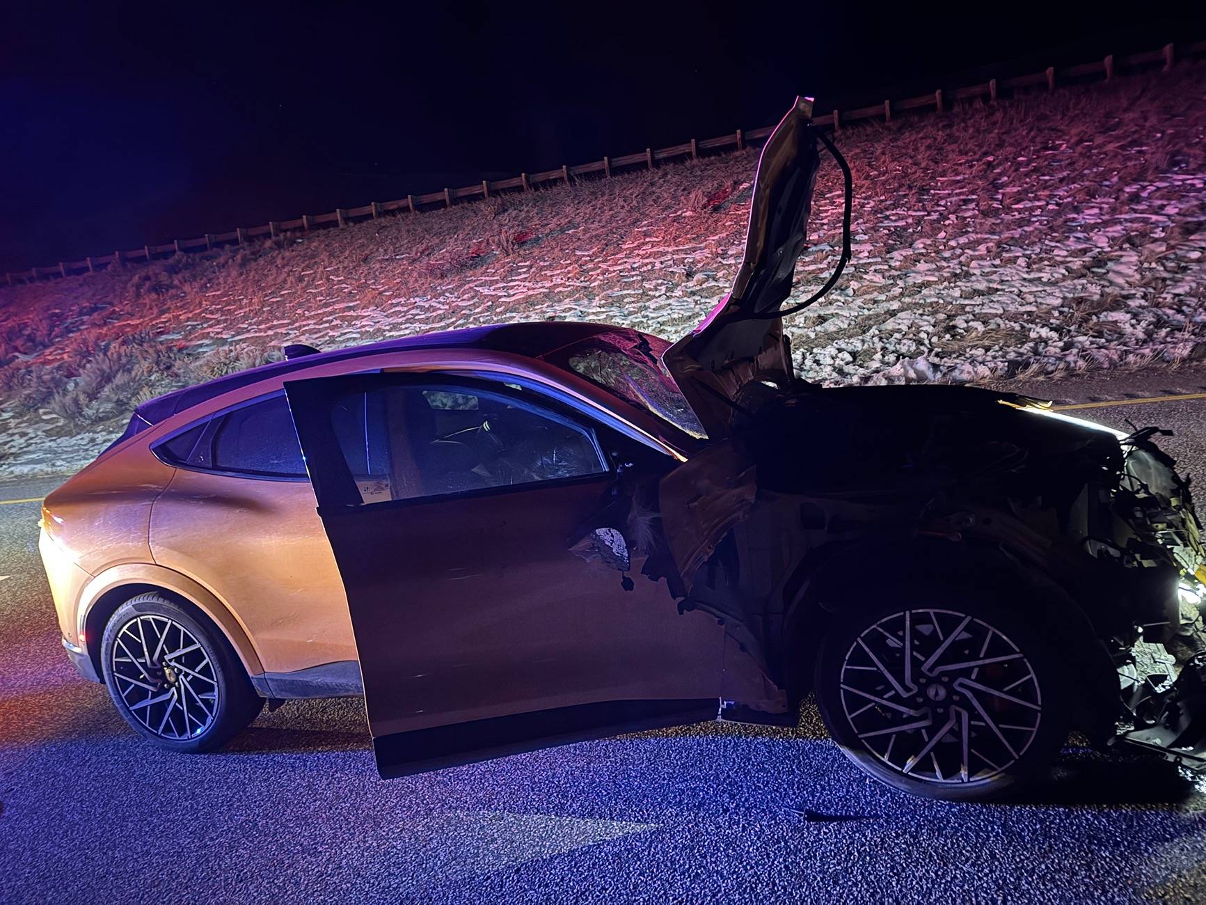 Ford Mustang Mach-E 2021 Mach-E GT meets bull elk at 80 MPH... who wins? IMG_7034