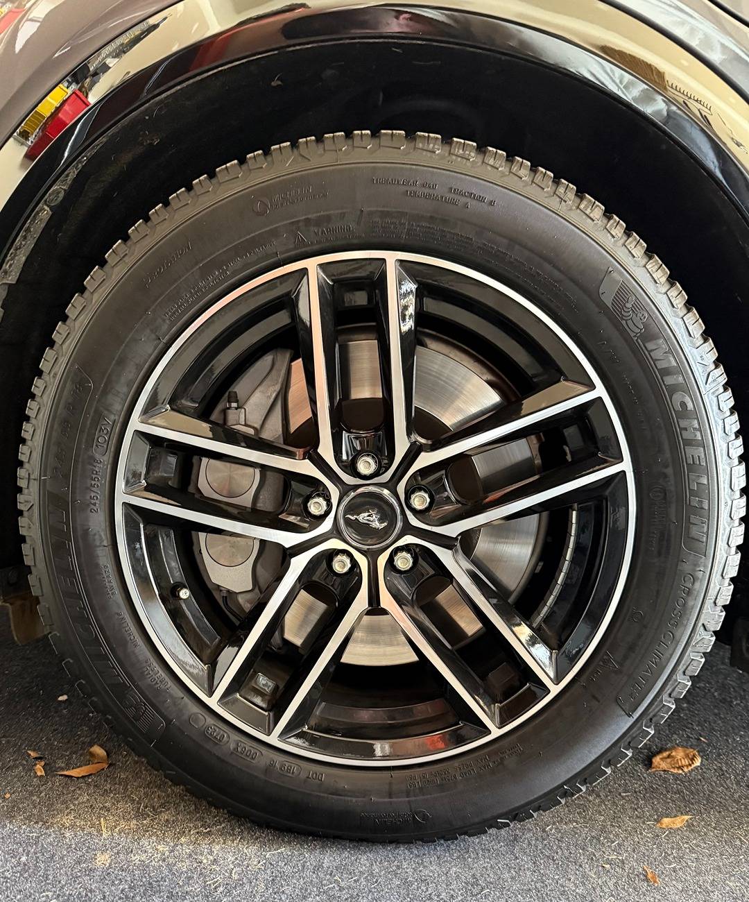 Ford Mustang Mach-E OEM tires nearing replacement - suggestions IMG_0183