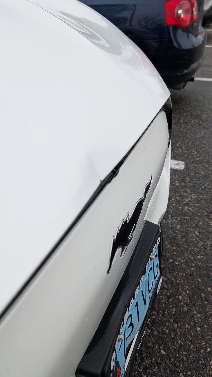 Ford Mustang Mach-E Emergency Braking, Collision Avoidance. PXL_20241229_214718642.MP