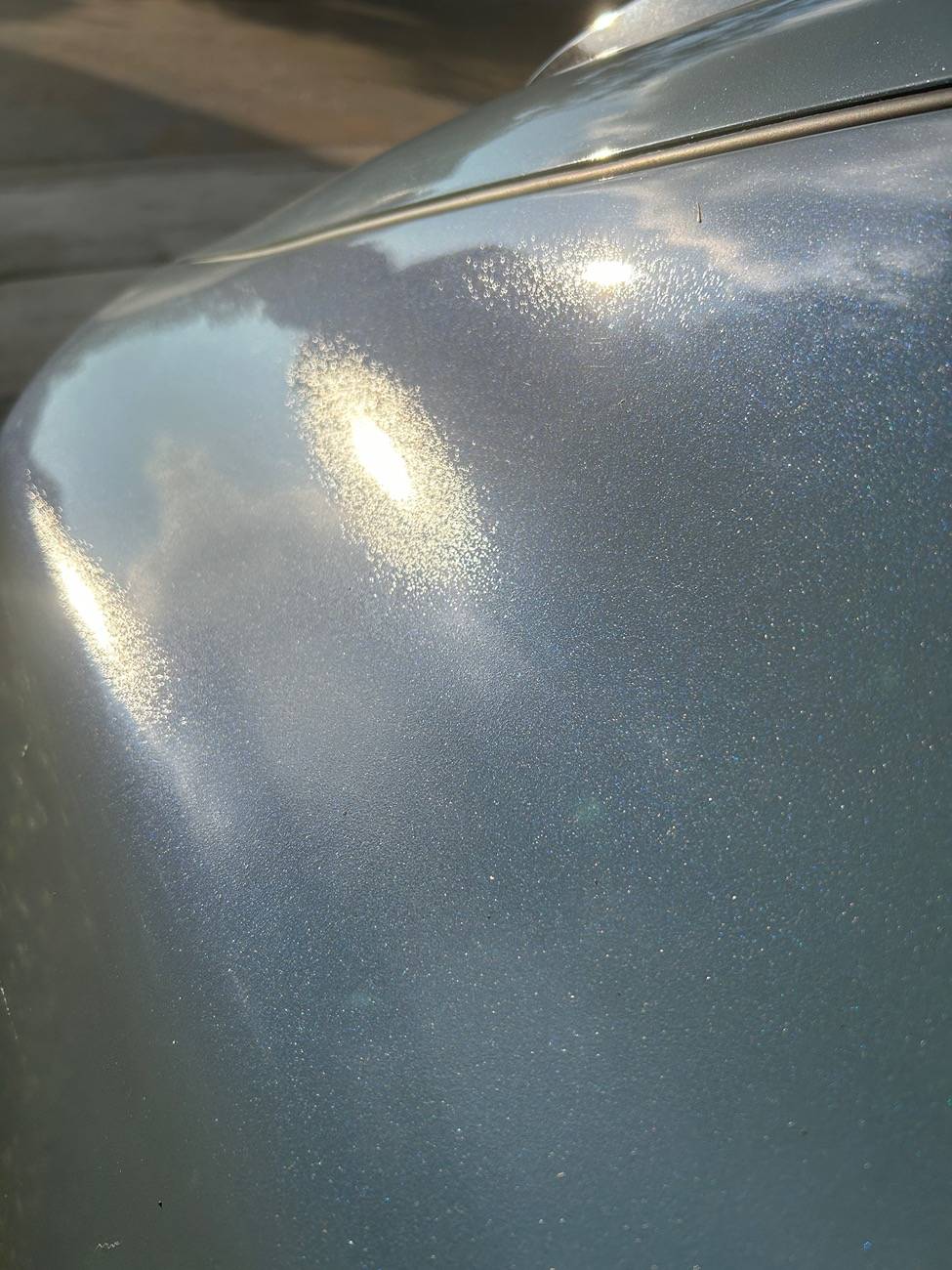 Ford Mustang Mach-E Paint Issue? IMG_3661