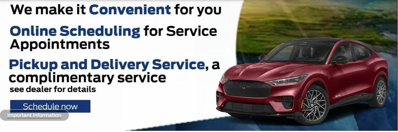 Ford Mustang Mach-E Shipping a dead Mach-E copper county ford service banner