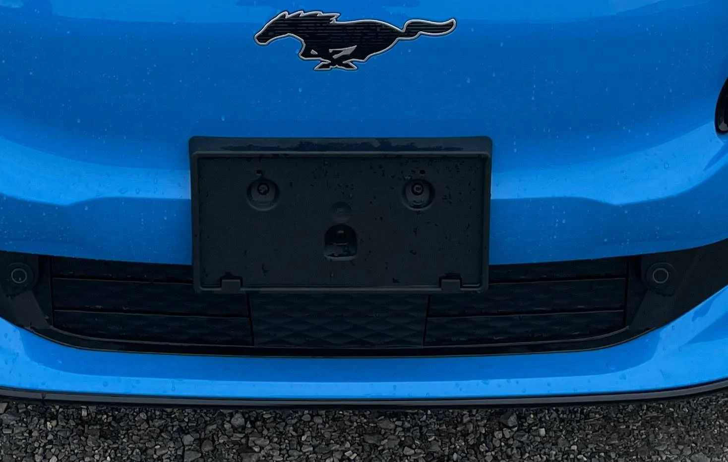 Ford Mustang Mach-E Front license plate IMG_0476