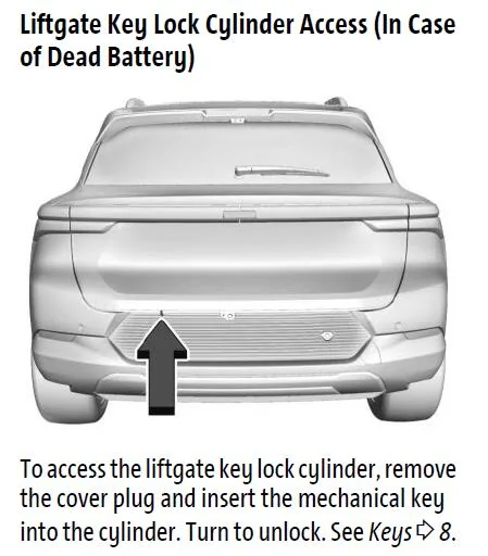 Ford Mustang Mach-E Infant stuck inside the car - dead 12V battery Equinox EV Emergency Key Lock