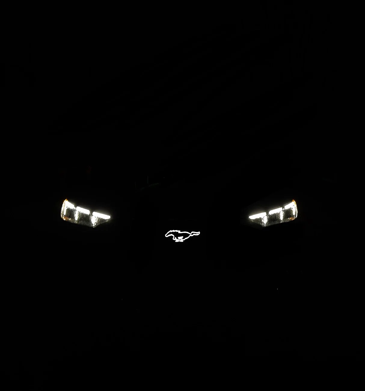 Ford Mustang Mach-E Announcement : The biggest giveaway of this forum will start NOW,  with 15 products to choose IMG_5437