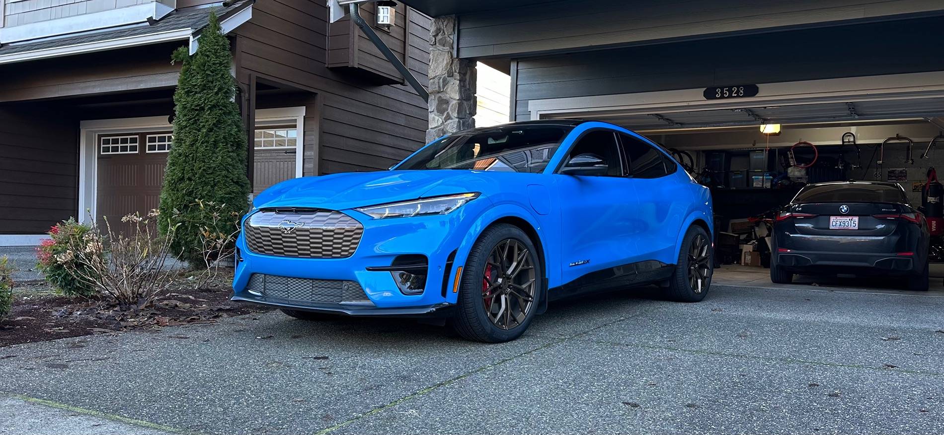 Ford Mustang Mach-E Bronze Grill on Grabber Blue IMG_0266