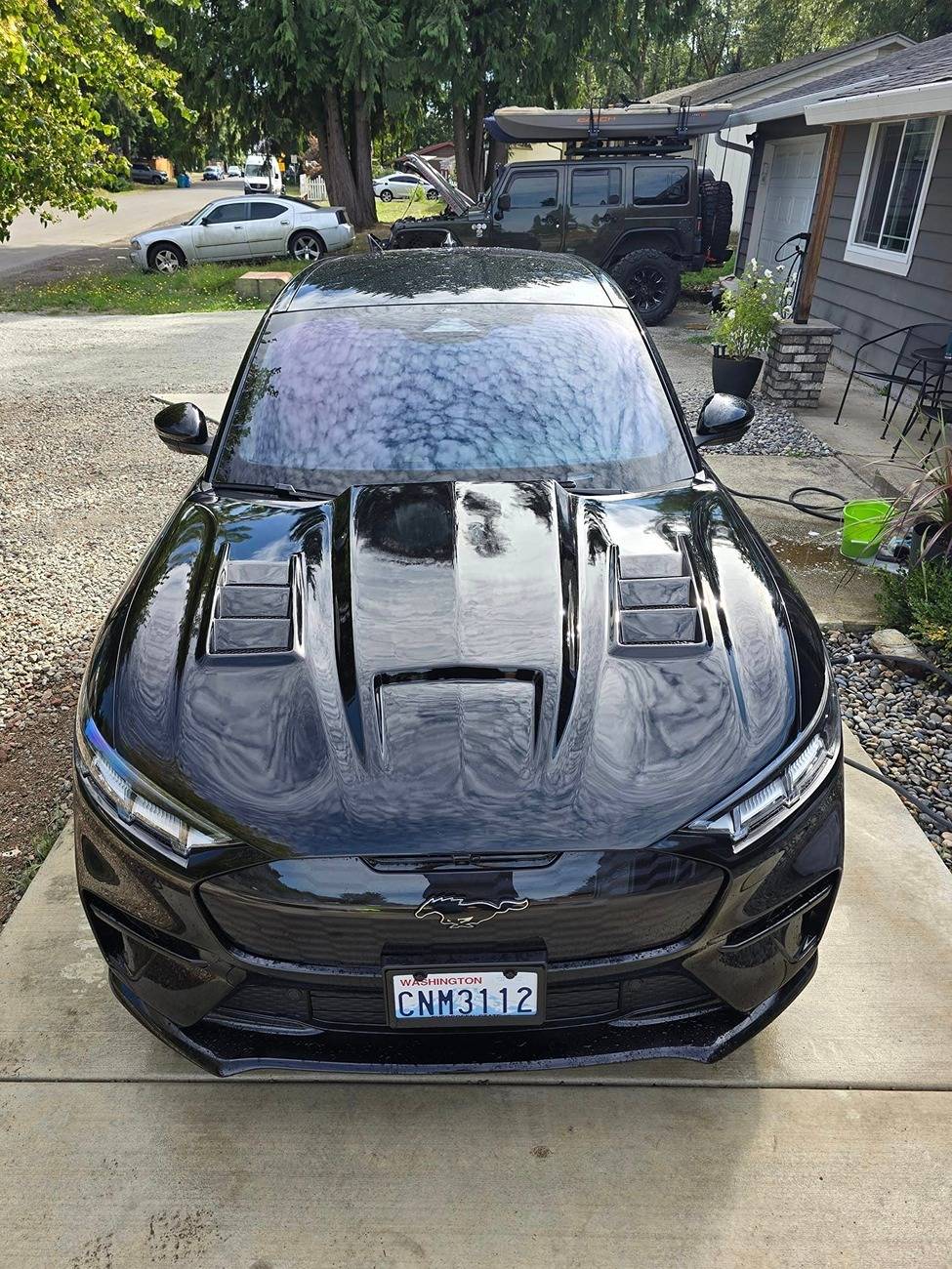 Ford Mustang Mach-E Carbon Fiber Hood? 131b9d63-cf5c-46b9-90ab-2641c4f1ba30