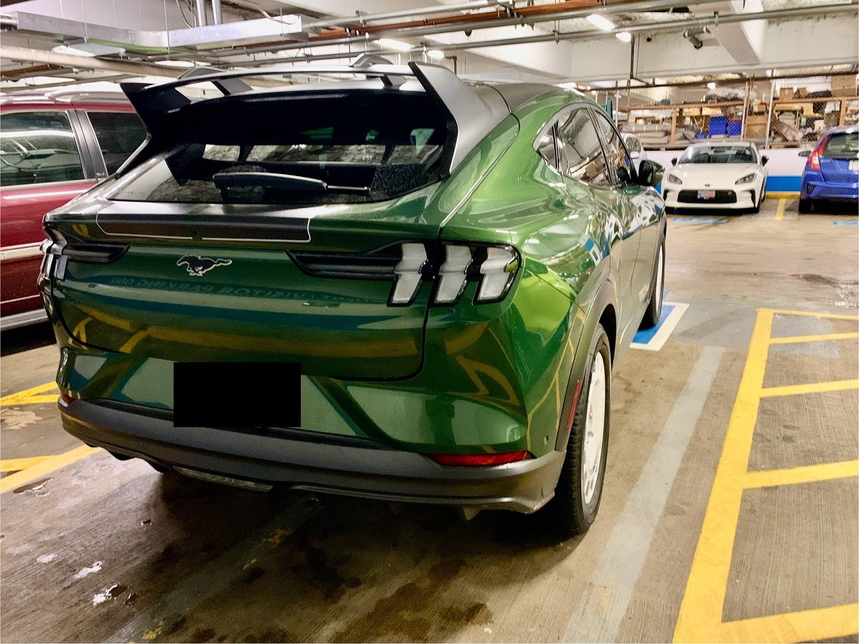 Ford Mustang Mach-E ERUPTION GREEN Mach-E Photos IMG_8796